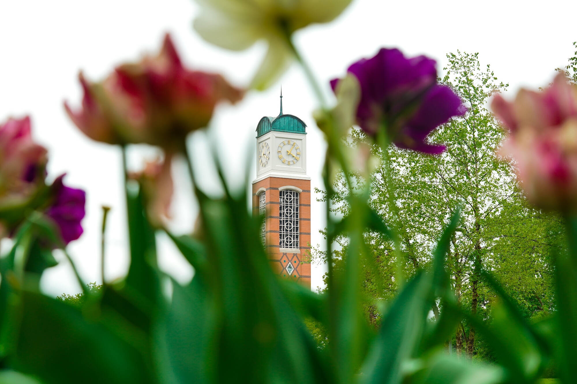 GVSU Bell Tower with Flowers